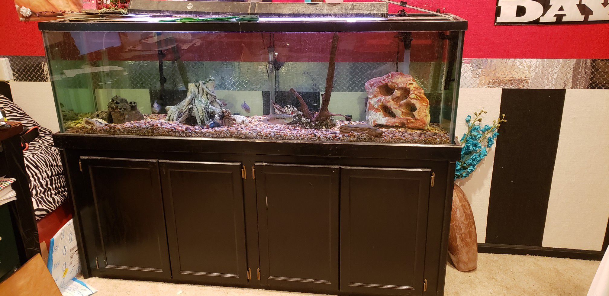 125 gallon fish tank everything pictured is included
