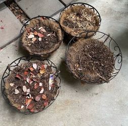 FREE 4 hanging planting baskets