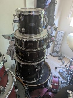 Spl birch starter set