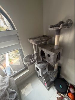 Cat playground