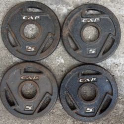 Weight Plates 5 Pounds