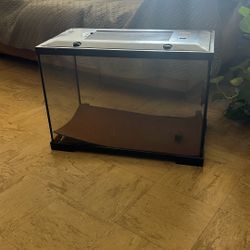 Terrarium 