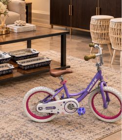 Bicycle 16”
