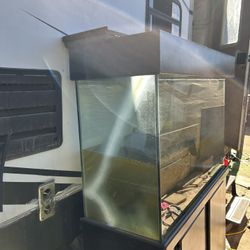 110 Gallons And Stand 