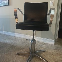 Salon Chair