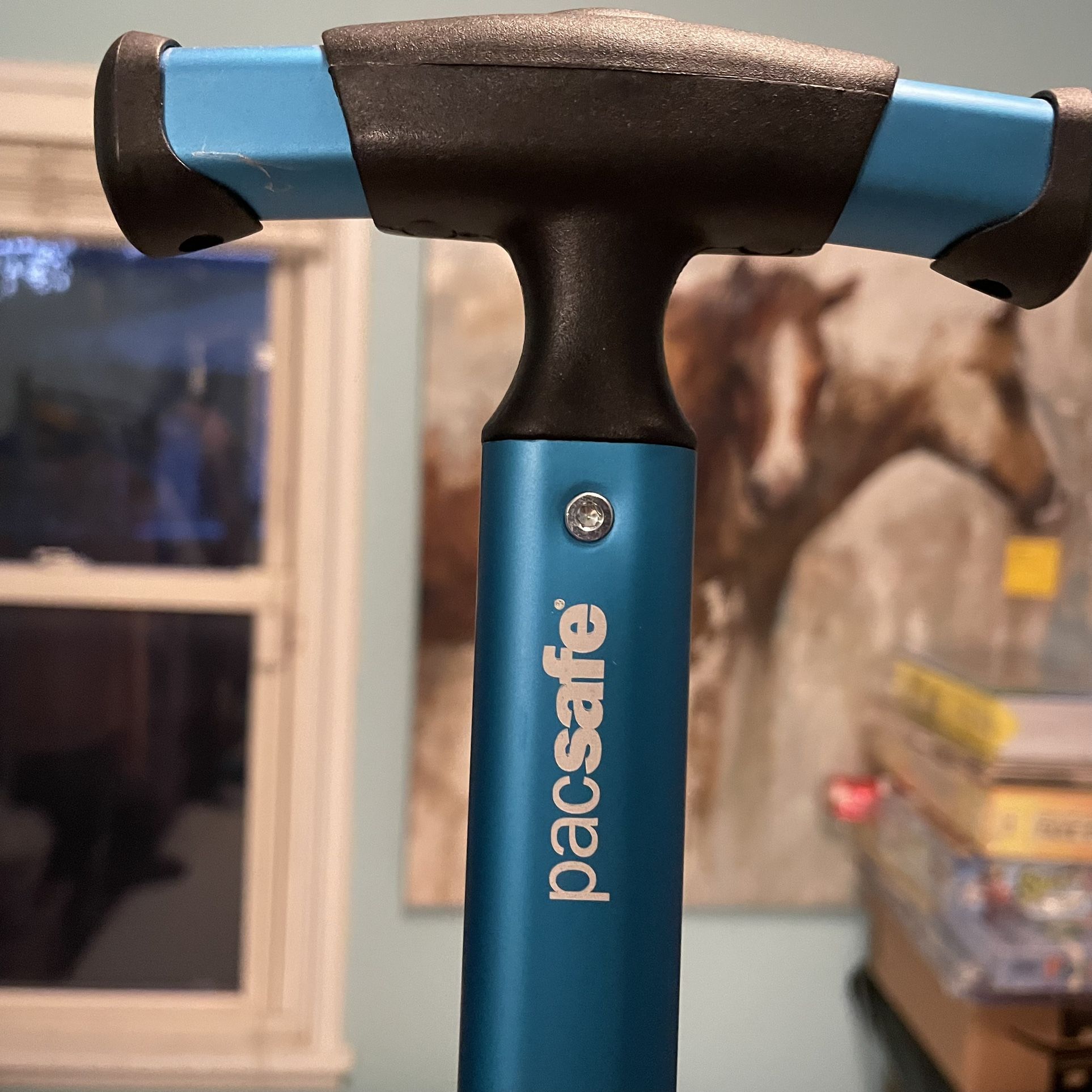 PACSAFE corsage 21 Wheeled Carry On 50105 RFID