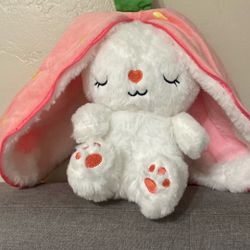 Rabbit Plush 