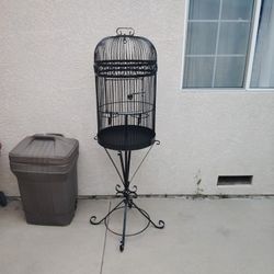 Bird Cage 