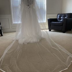 Wedding Veil 