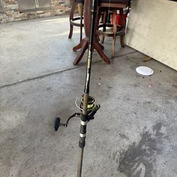 Fishing Rod 
