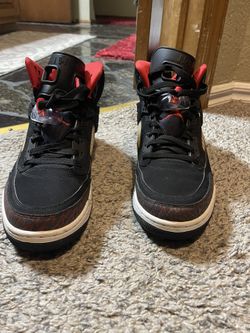 Rare Jordan Spizikes