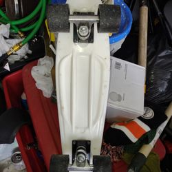 Penny Board Skateboard 