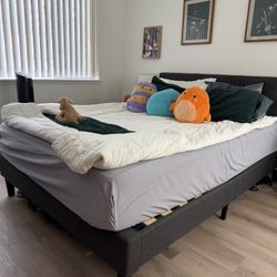 Gray Bed Frame 