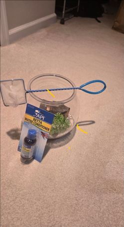 Fish Bowl with API Betta Water Conditioner