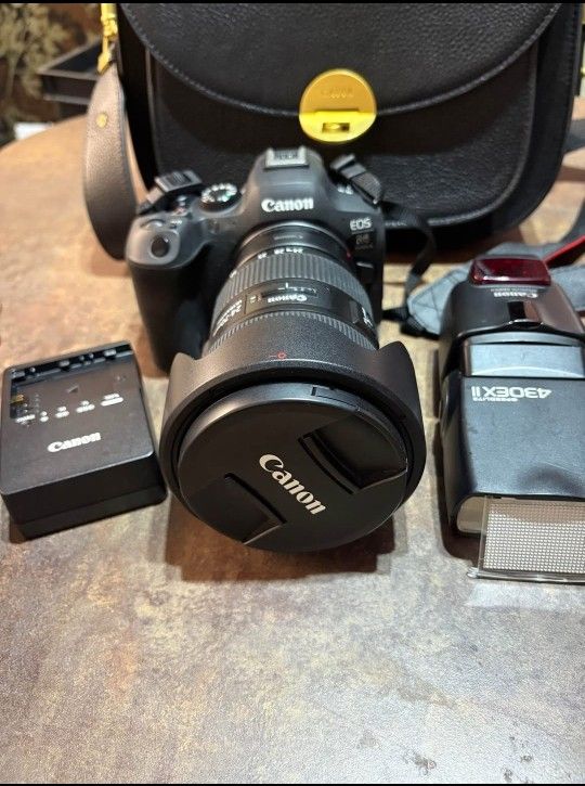 Canon R6 Mark II And Canon Lens 24-70 Ultrasonic, Leather Bag And Canon Flash.