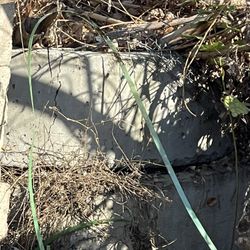 Sewer Man Hole  Material 