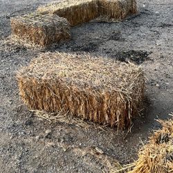 Free Hay