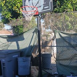 Basketball court