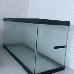 Fish Tank - 40 Gallons 