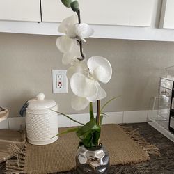Two Orchid Faux Plants (fake)