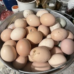 Eggs 