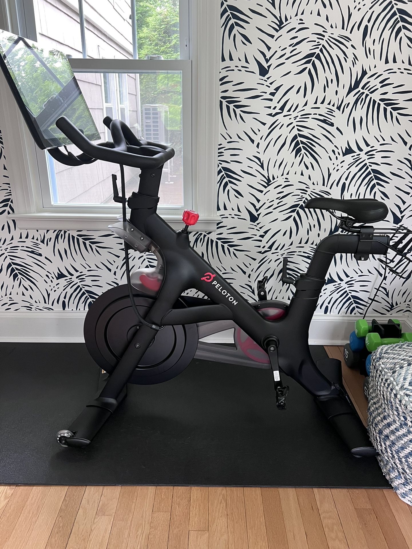 Peloton Bike With All Peloton Accessories - Mat, 3lb Weights, Headphones