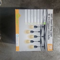Outdoor LED Lights