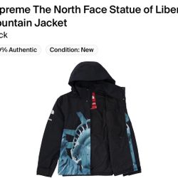 Supreme The North Face Statue Of Liberty Mountain Jacket Medium Brand New