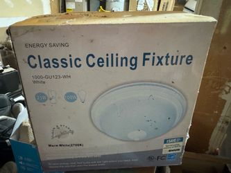 Ceiling light
