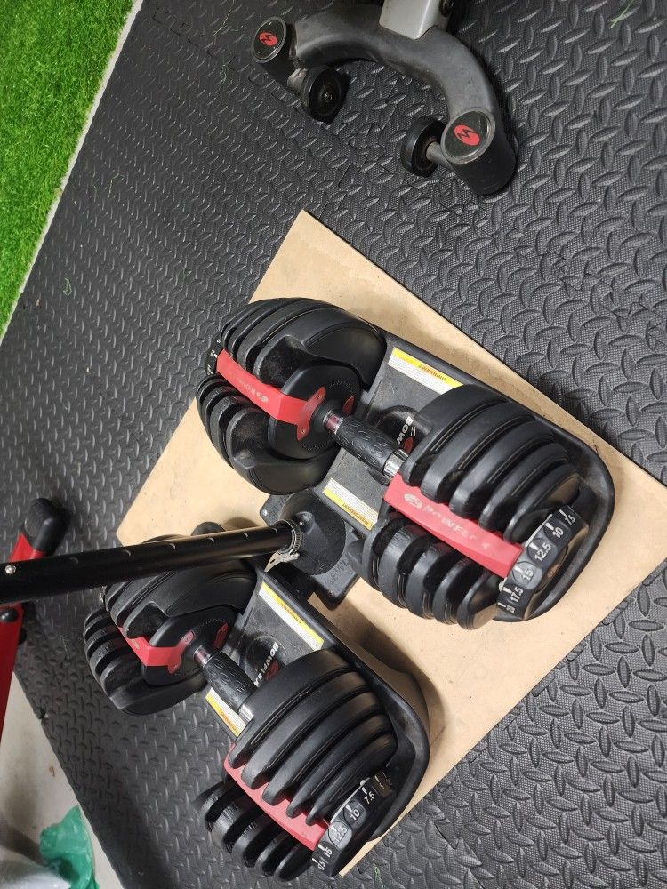 Bowflex Dumbbells