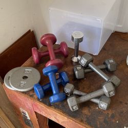 Assorted Hand Weights (For Exercise)