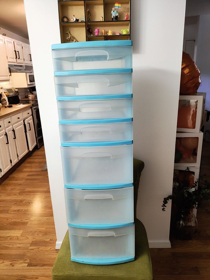 Sterilite Organizer