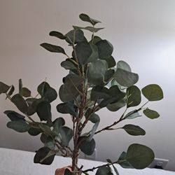 Ikea faux eucalyptus (3 branches)