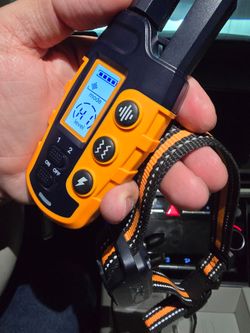 Electronic Dog Training