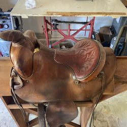 Olsen Nolte Saddle