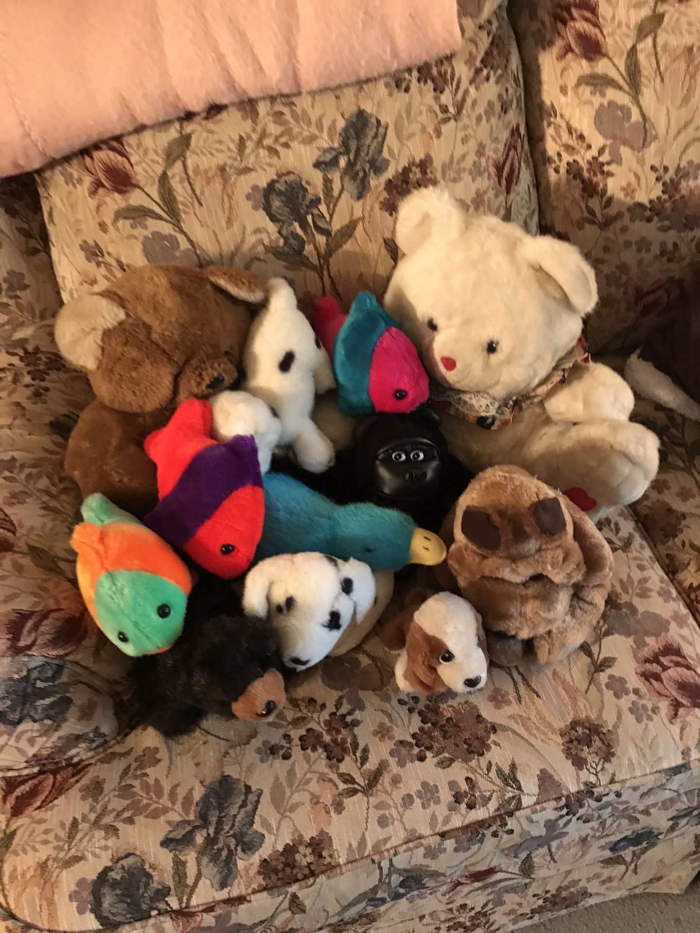 Stuffed Animals