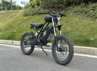 FreeGo Nova Electric Bike