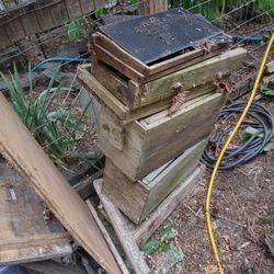 Bee Boxes FREE 