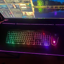 Gaming Keyboard / Mouse Barely Use 45$ 
