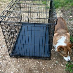Dog Crate (two)