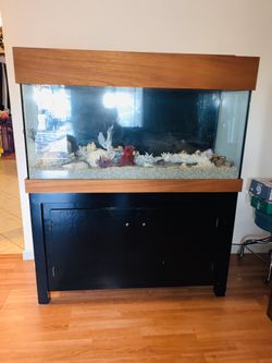 Beautiful Custom made 80 gallon Fishtank .