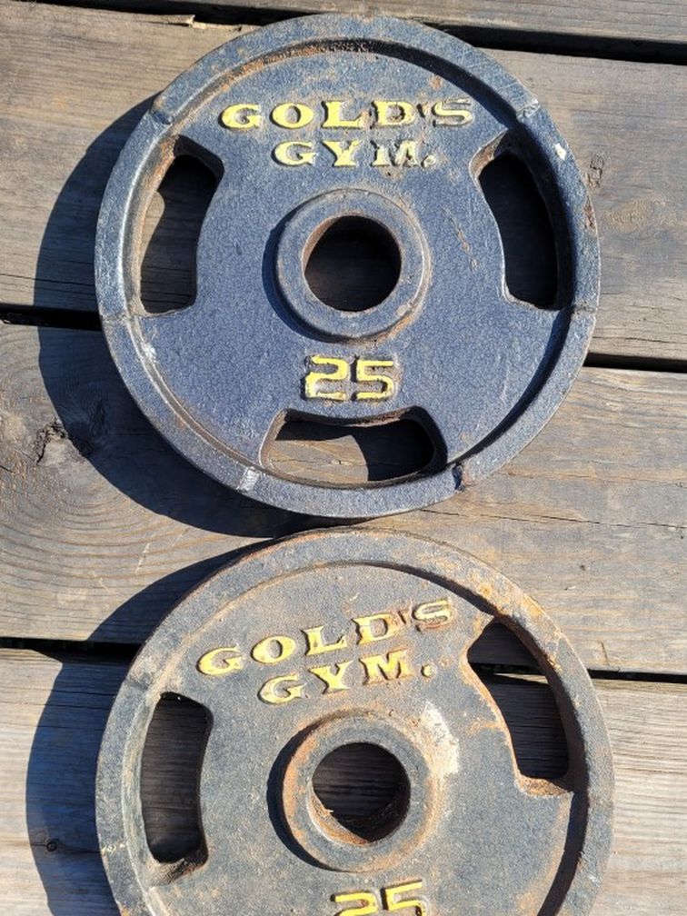Golds Gym (2) 25lb Plates