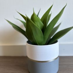Médium Ceramic Pot With Faux Plant