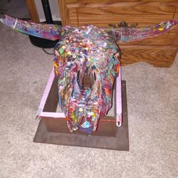 Steer Head Skull 