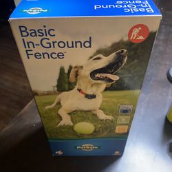 In-ground Dog Fence
