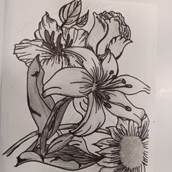 Drawings Of Bouquets, Cars, Hybrids, & More