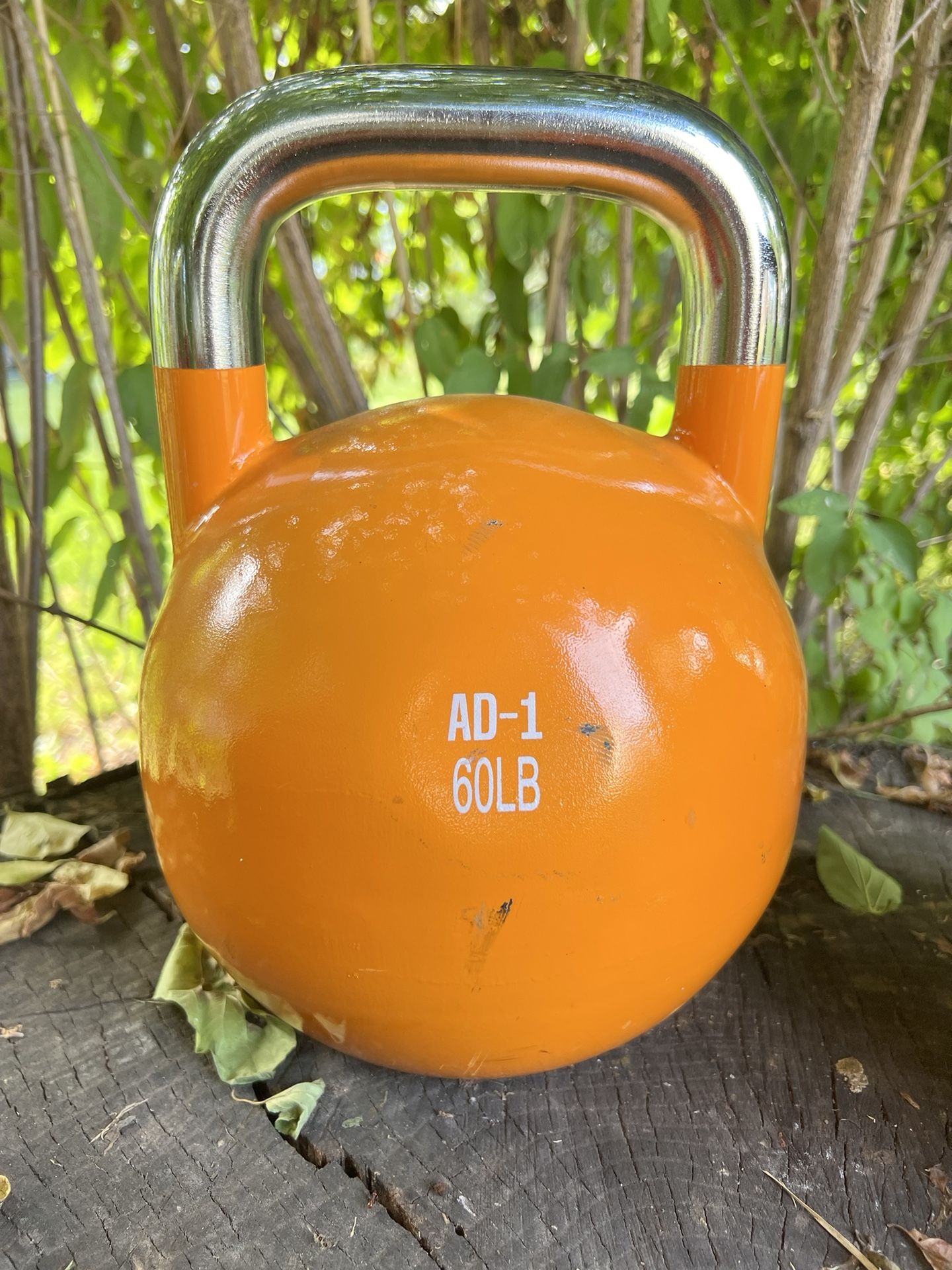 60LB Apex day - 1 Competition Kettlebell