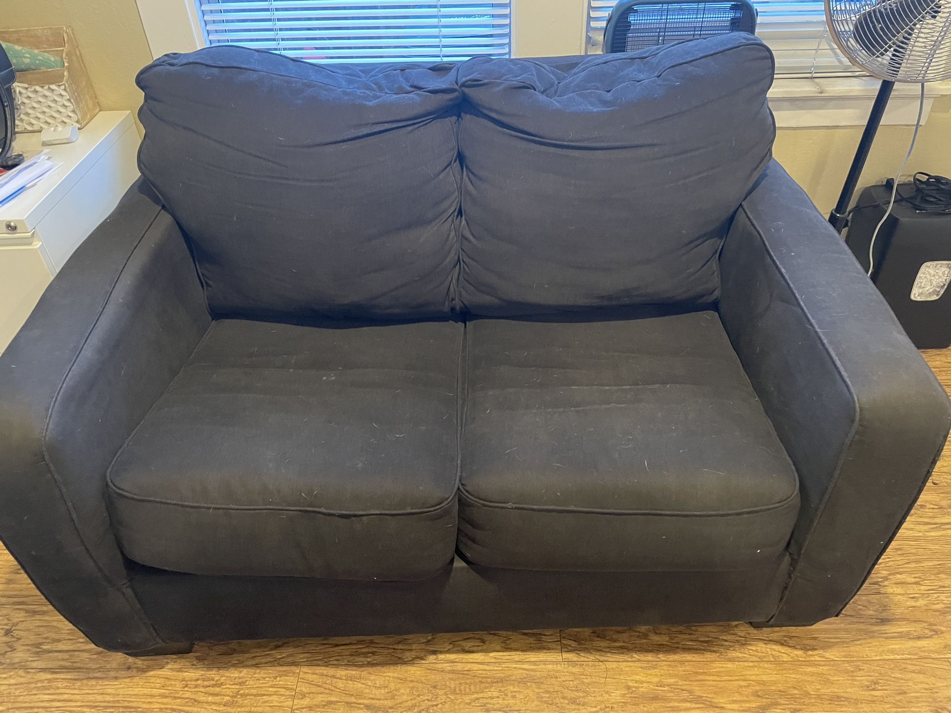 Love Seat With Pull Out Bed