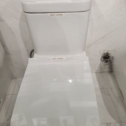 Toilet Display