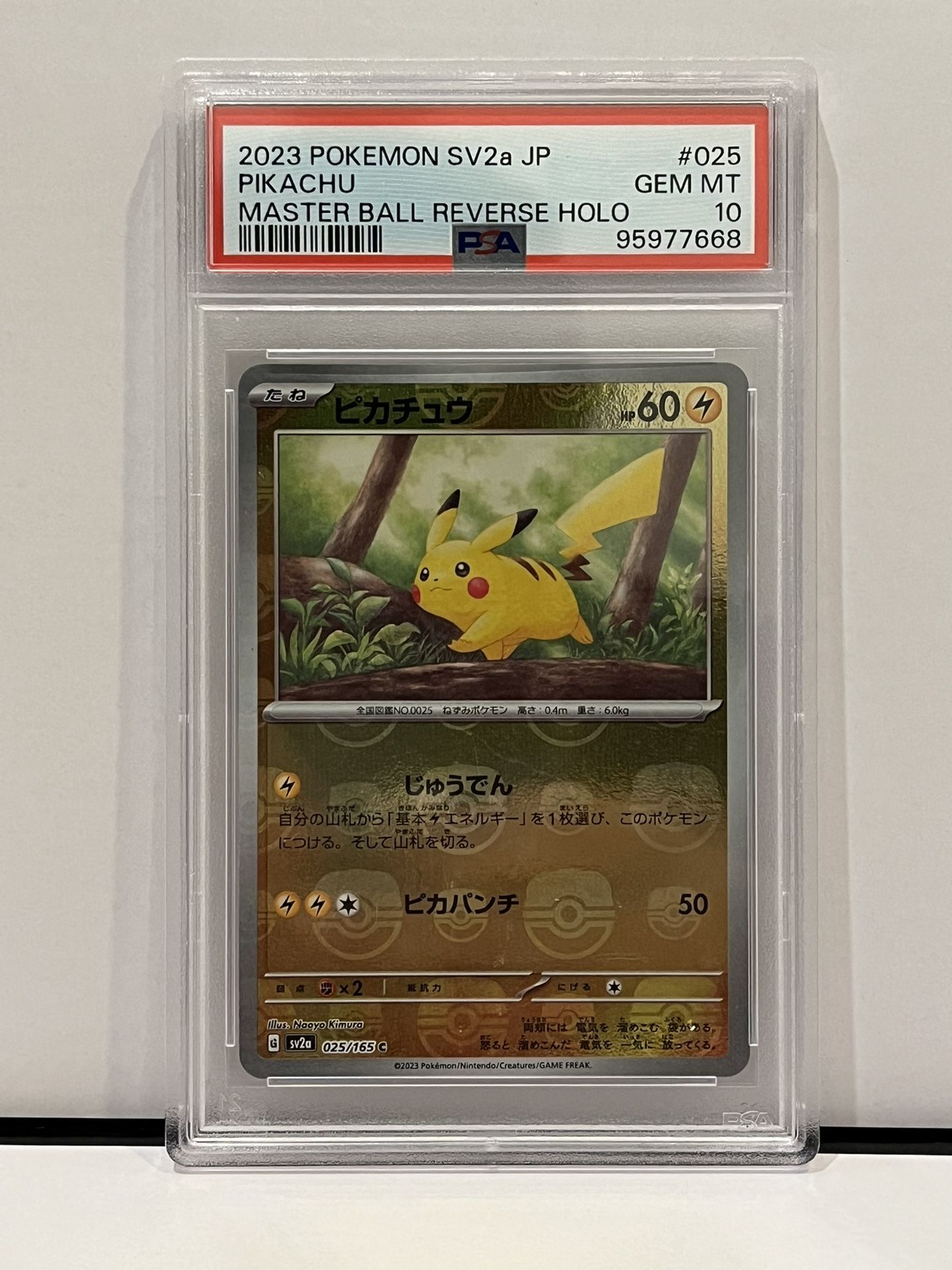 Pikachu Master Ball